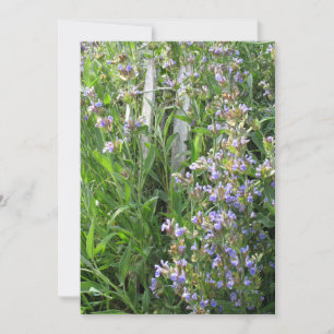 Fleurs De Sage Bleu Invitations Personnalisées