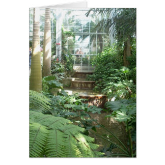 Fleurs de serre Sept