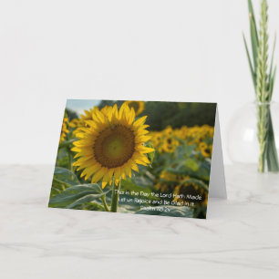 Fleurs de soleil