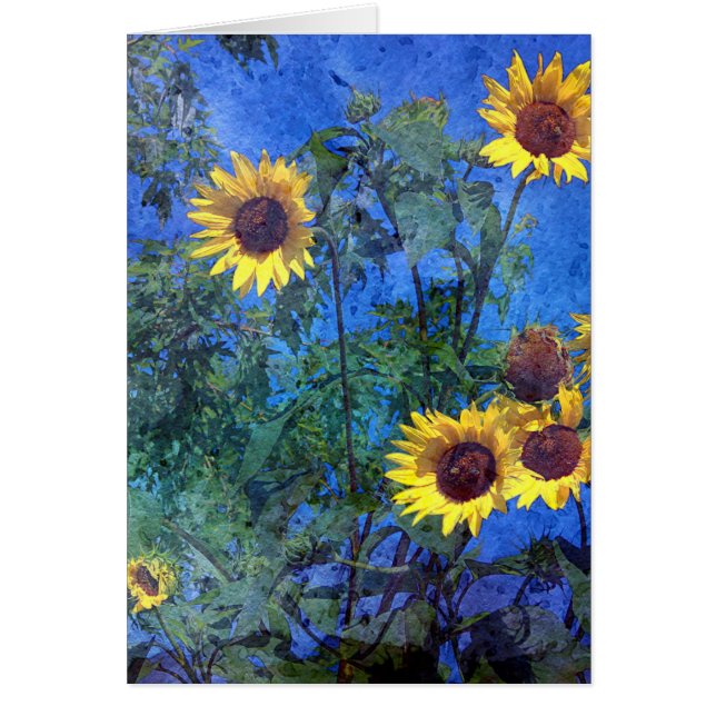 Fleurs de soleil (Devant)