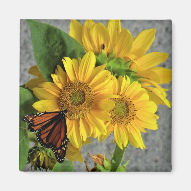 Fleurs de soleil et papillon monarque Aimant frigo (Devant)