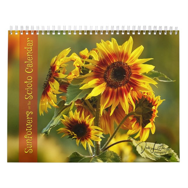 Fleurs de soleil sur le calendrier Scioto (Protection)
