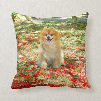 Fleurs de sourire de rouge du coussin | Pomeranian