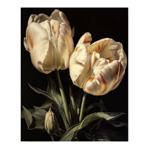 Fleurs de tulipe crème Poster d'impression d'art