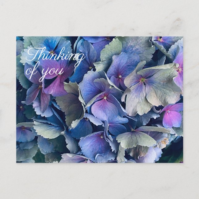 Fleurs d'hortensia bleu carte postale "pensées pou (Devant)