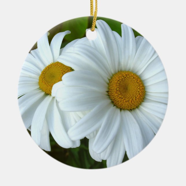 Fleurs d'ornement de marguerite Décoration de Noël (Devant)