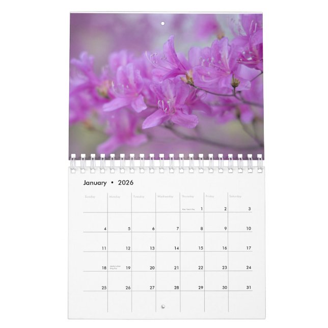 Fleurs du calendrier (Jan 2026)