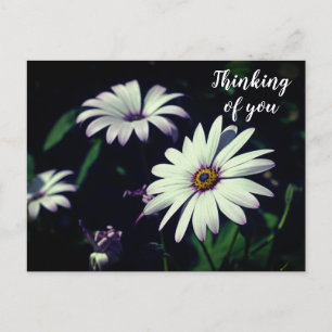Fleurs du jardin blanc Carte postale Pensant à vou