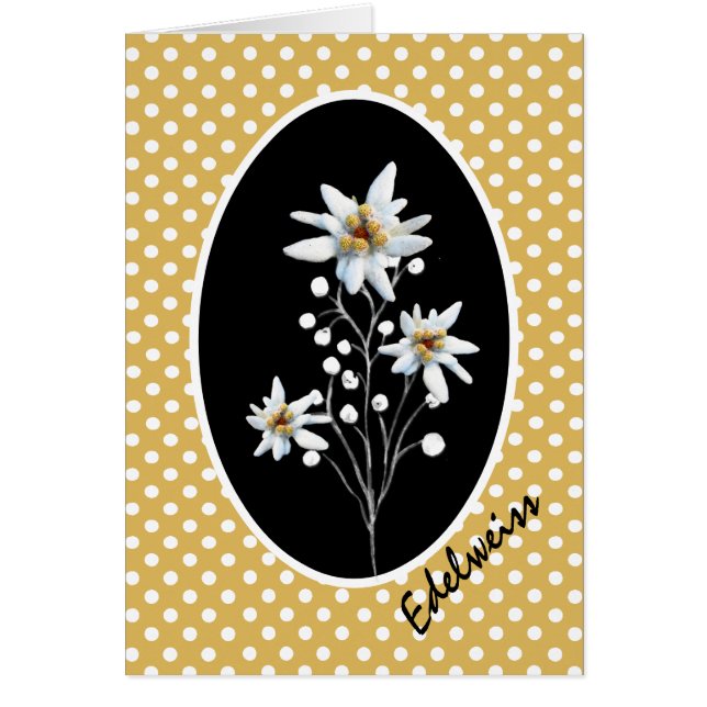 Fleurs Edelweiss sur Pois jaunes et blancs (Devant)