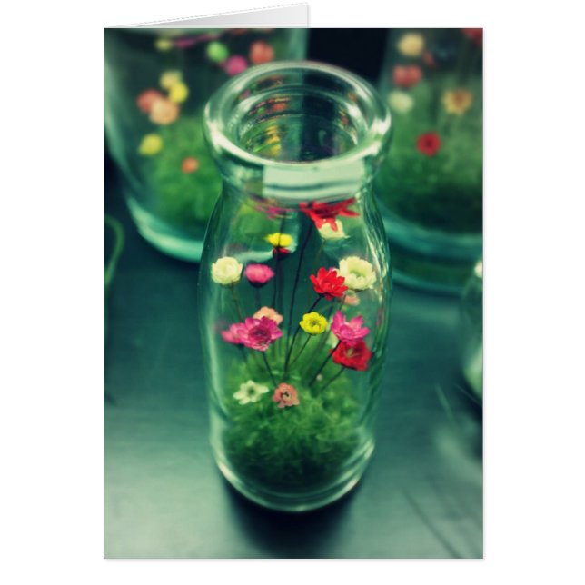 Fleurs en bouteille (Devant)