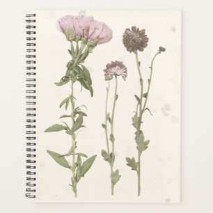 Fleurs en rose