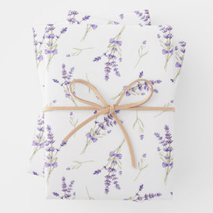 Fleurs et Feuilles de lavande aquarelle