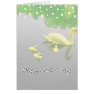 Fleurs et Swan Lake Fête des Mères