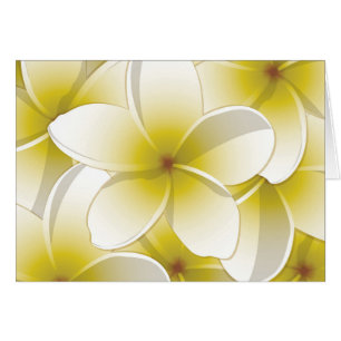 Fleurs frangipani/Plumeria