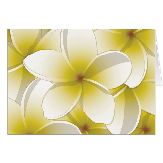Fleurs frangipani/Plumeria (Devant Horizontal)