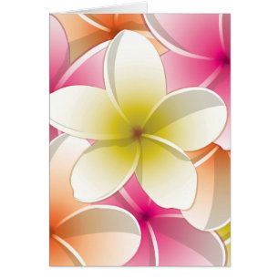 Fleurs frangipani/Plumeria