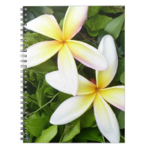 Fleurs hawaïennes brillantes Photo Carnet spiral