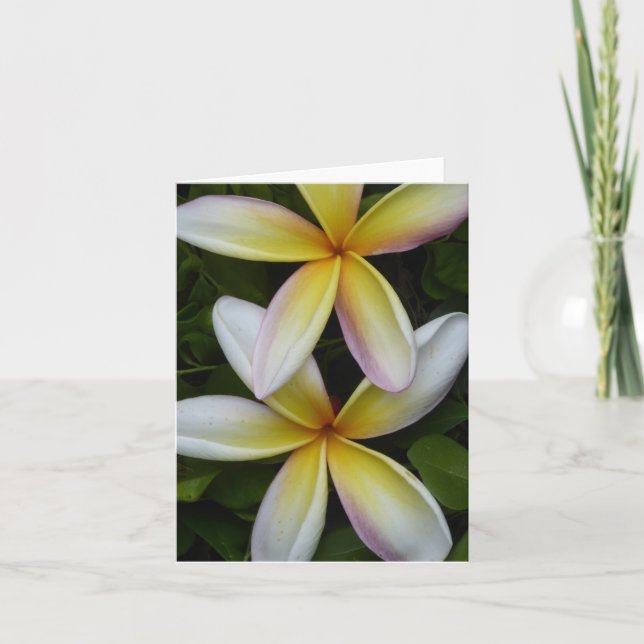 Fleurs hawaïennes vibrantes Carte de voeux pliée (Devant)