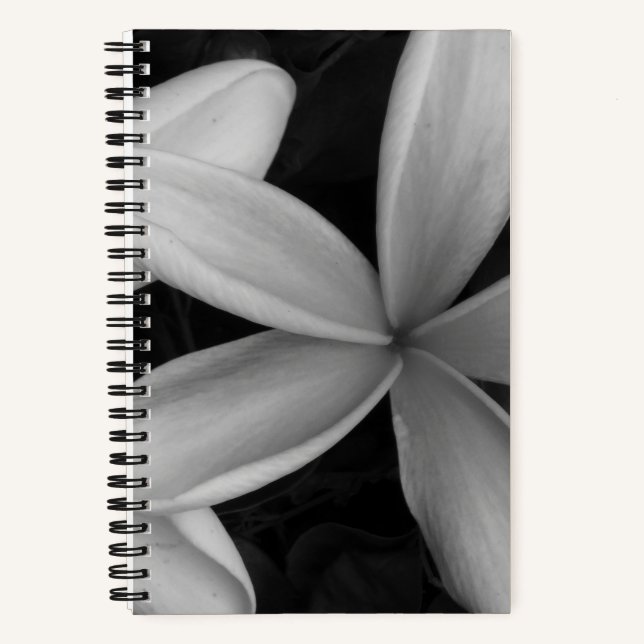 Fleurs Hawaiiennes blanches Photo Carnet spirale (Recto)
