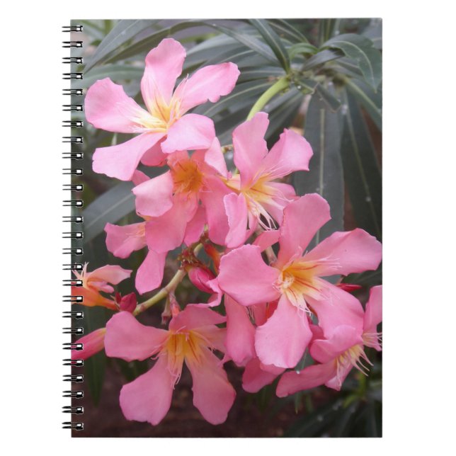Fleurs Hawaiiennes roses vives Photo Carnet Spiral (Devant)