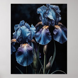 Fleurs Iris Bleues Poster d'impression