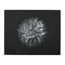 Fleurs jardins En Noir Et Blanc 20