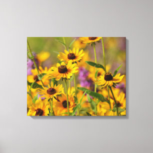 Fleurs jaunes dans une toile de prairie Imprimer