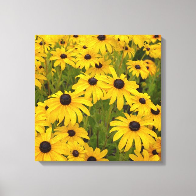 Fleurs Jaunes - Toile de Susans Jaunes (Recto)