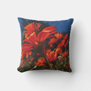 Fleurs marguerites Coussin Bleu Orange Coussin Jeu
