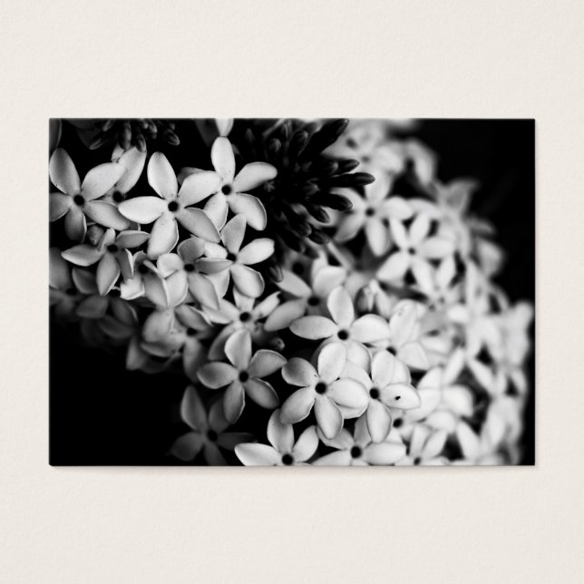 Fleurs noires et blanches (Devant)