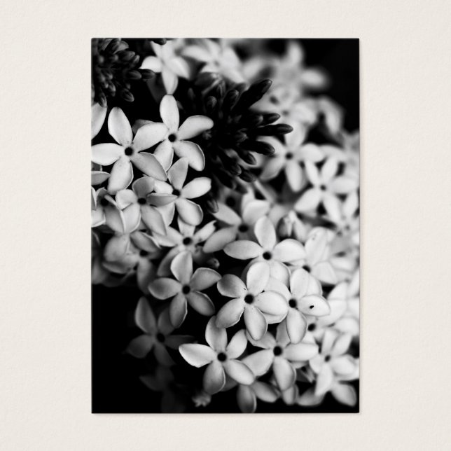 Fleurs noires et blanches (Devant)