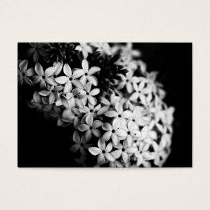 fleurs noires et blanches