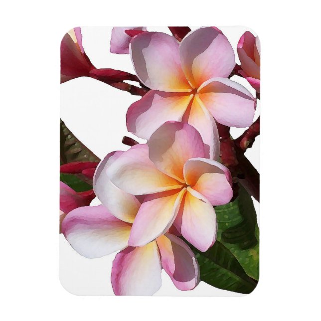 Fleurs Plumeria Magnet Premium (Vertical)