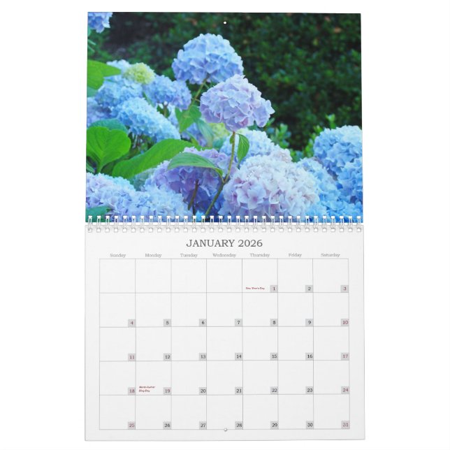 Fleurs pour la photographie de fleur de calendrier (Jan 2026)