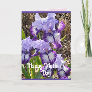 Fleurs pourpres Floral Iris Irises Carte de jour d