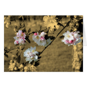 Fleurs Printemps Sur La Carte Fleur Sepia