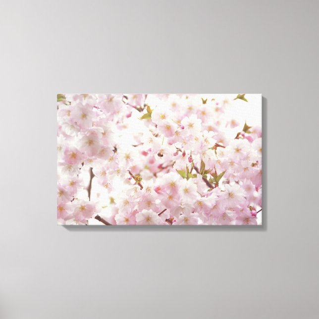 Fleurs romantiques de cerisiers et toile de petite (Recto)