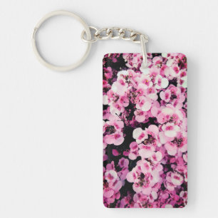 Fleurs roses