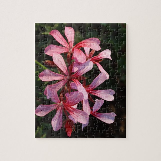 Fleurs roses 8x10 Puzzle photo avec boîte cadeau (Vertical)
