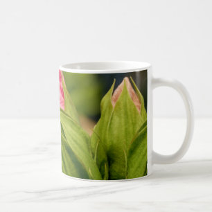 Fleurs roses Boules vertes Amour floral Mug photo