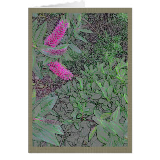 Fleurs roses brouillées dans un jardin d'été