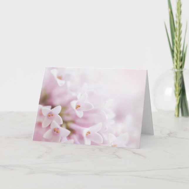 Fleurs roses de cartes de voeux horizontales (Devant)