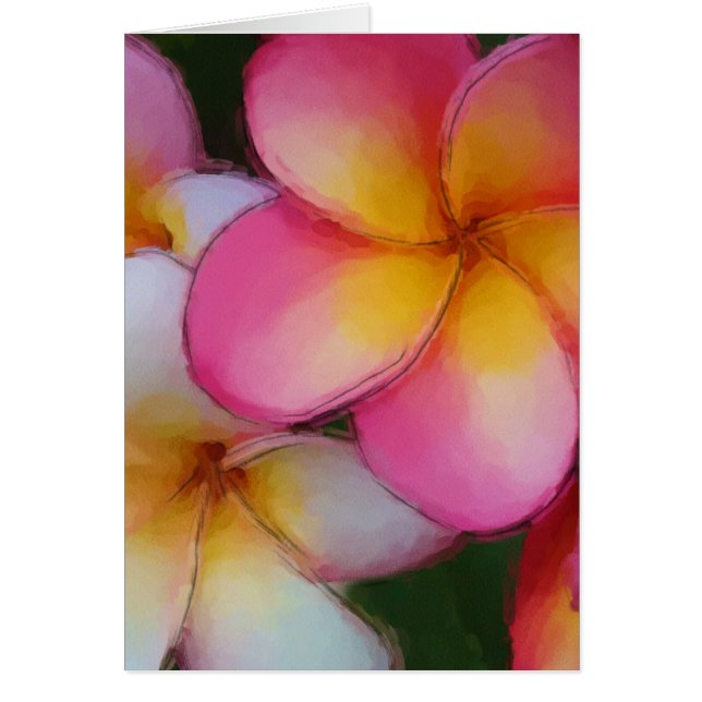Fleurs roses de Plumeria de Frangipani (Devant)