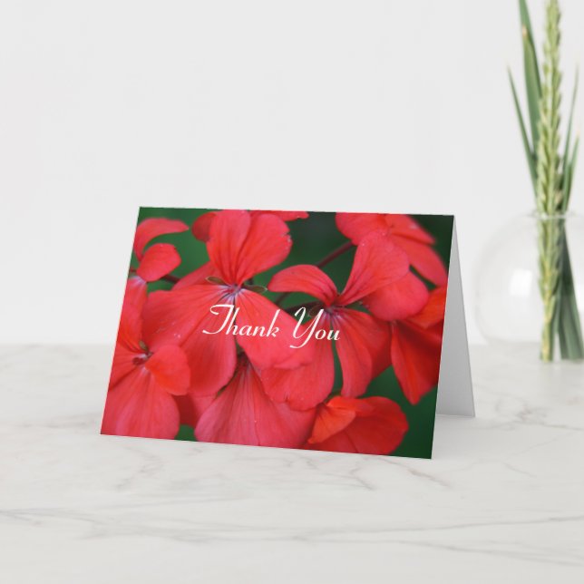 fleurs rouges merci (Devant)