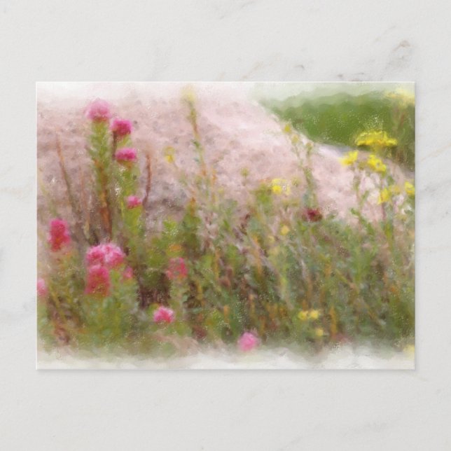 FLEURS SAUVAGES 1 CARTE POSTALE (Devant)
