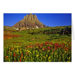 fleurs sauvages alpins au col Logan dans le glacie