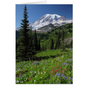 Fleurs sauvages au Mont Rainier