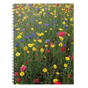 Fleurs sauvages d'été de carnet de Loch Ness