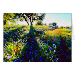 Fleurs sauvages, lumière, et ombre