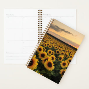 Fleurs Terrain de tournesol
